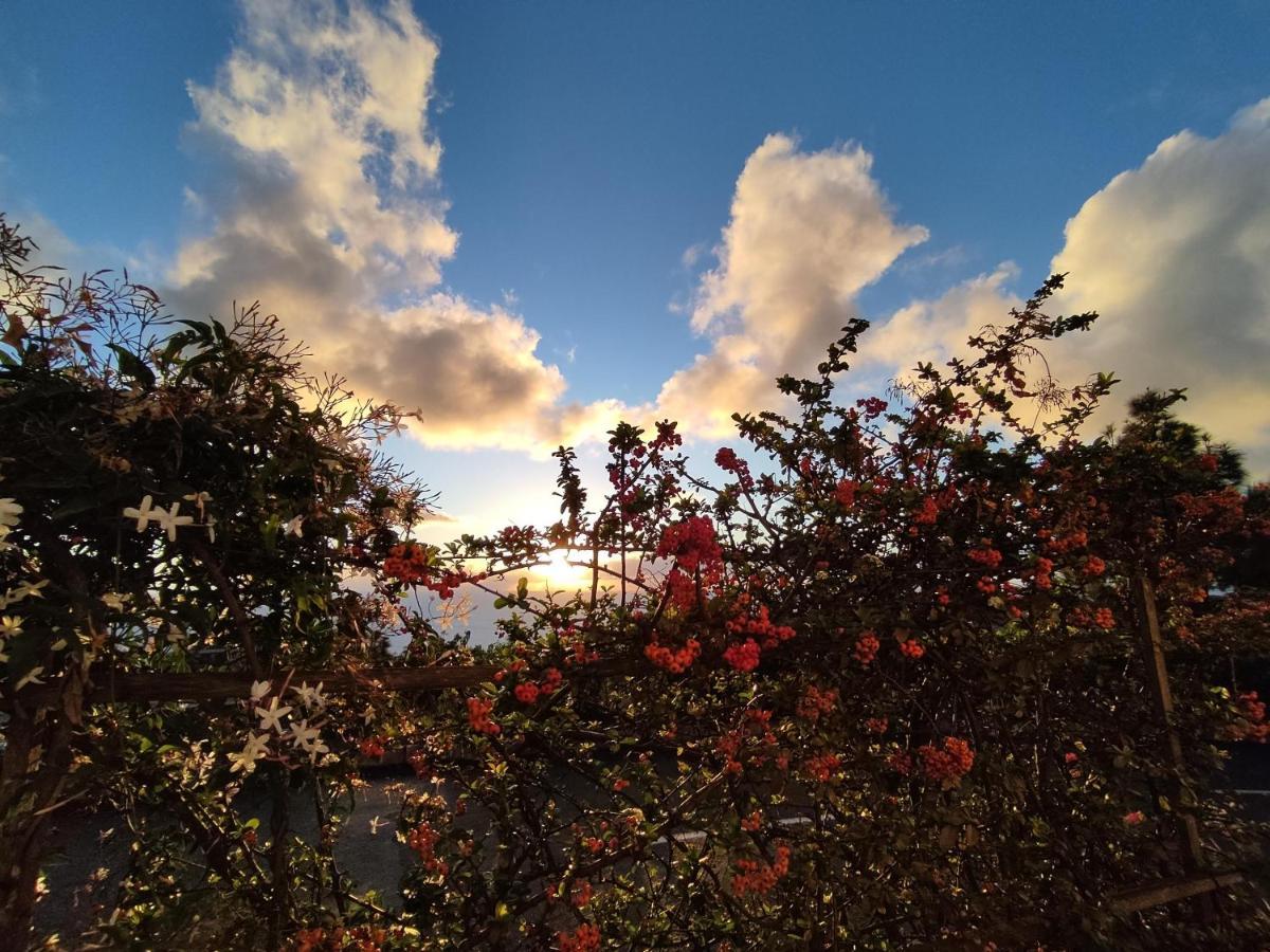 Casa Roberta Villa Monte de Brena ภายนอก รูปภาพ