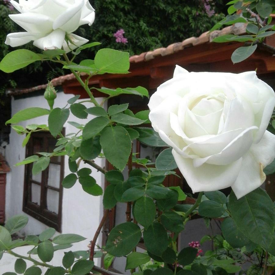 Casa Roberta Villa Monte de Brena ภายนอก รูปภาพ